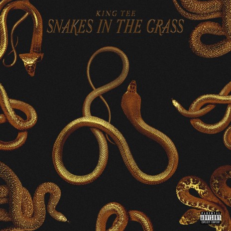 Snakes in the Grass | Boomplay Music