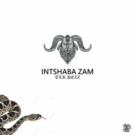 Intshaba Zam | Boomplay Music