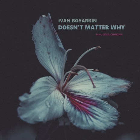 Doesn't Matter Why | Boomplay Music