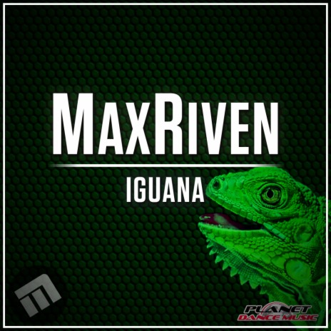 Iguana (Original Mix) | Boomplay Music