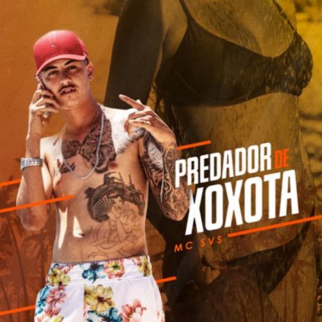 Predador de Xoxota ft. DJ PR | Boomplay Music