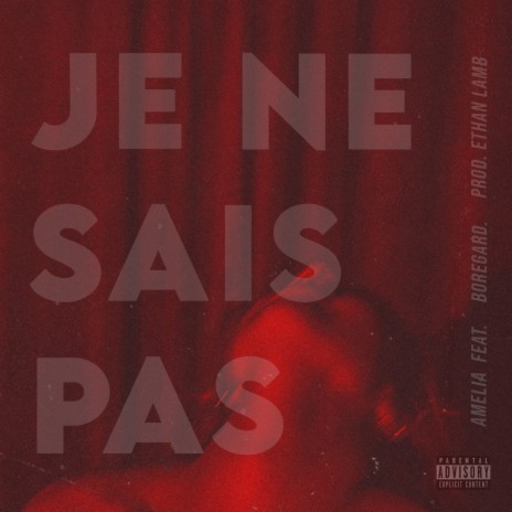 Je Ne Sais Pas ft. Boregard. | Boomplay Music