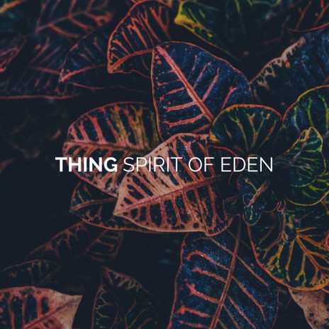 Spirit Of Eden (Original Mix)