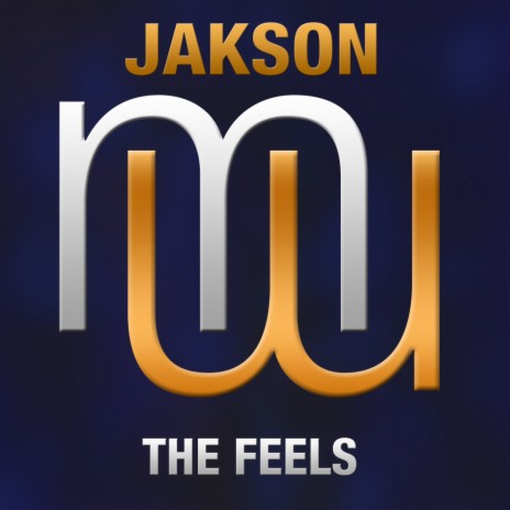 The Feels (Original Mix) | Boomplay Music