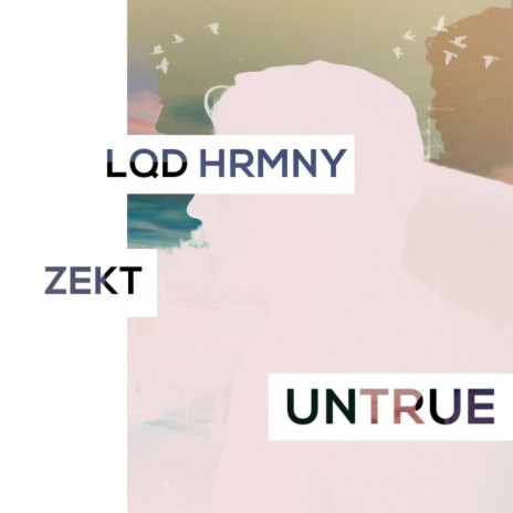 Untrue (Original Mix) ft. Zekt | Boomplay Music