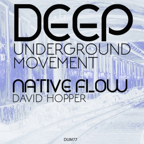 Native Flow (Original Mix)