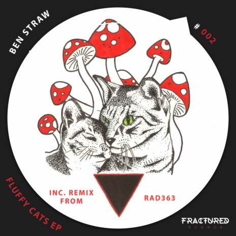 Fluffy Cats (RAD363 Remix) | Boomplay Music