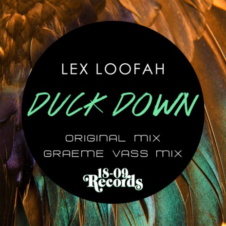 Duck Down (Original Mix) | Boomplay Music