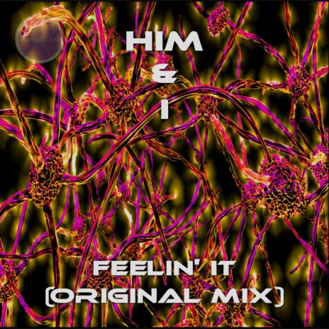 Feelin It (Original Mix) | Boomplay Music
