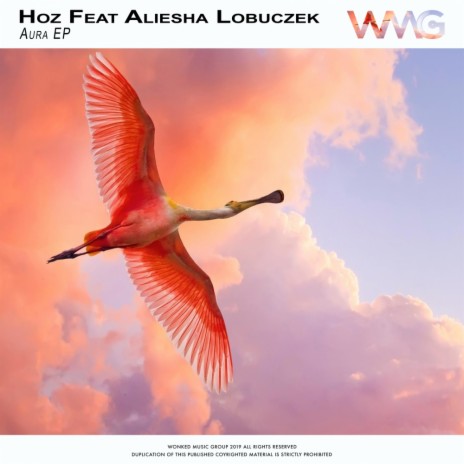 Aura (Wagzz Radio Remix) ft. Aliesha Lobuczek | Boomplay Music