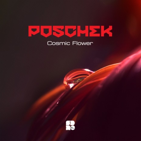 Cosmic Flower (Original Mix)