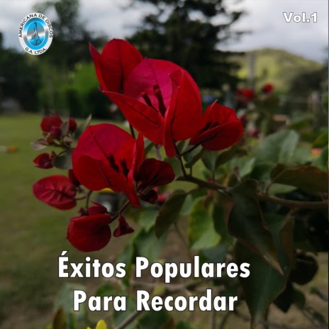 Maldito Tu Orgullo ft. Orquesta Ricaurte Arias | Boomplay Music