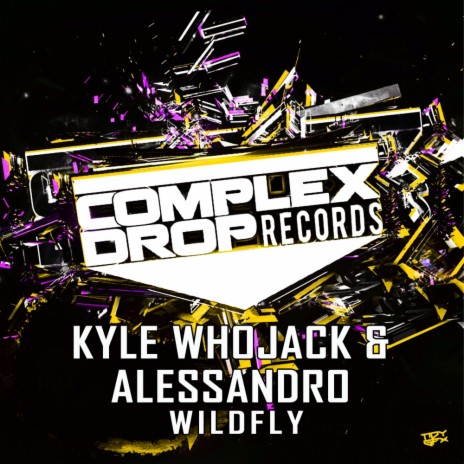 Wildfly (Original Mix) ft. Alessandro Cardettini | Boomplay Music