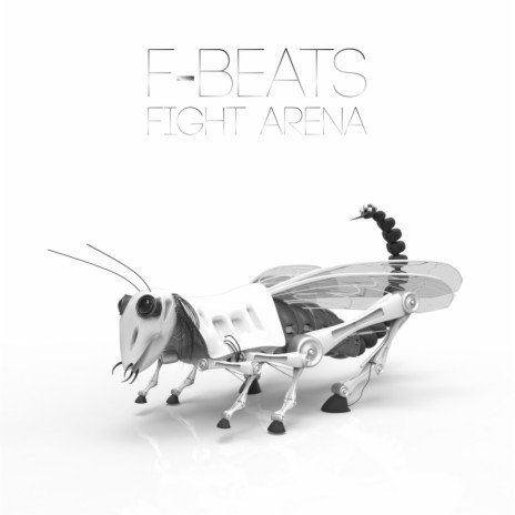 Fight Arena (Original Mix)