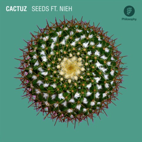 Seeds (Original Mix) ft. Nieh | Boomplay Music