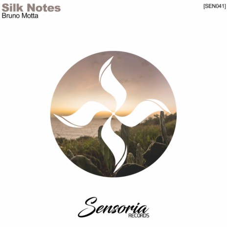 Silk Notes (Diego Costa Remix)