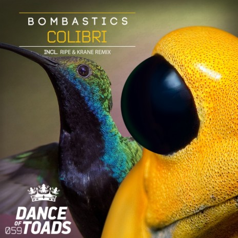 Colibri (Ripe & Krane Remix) | Boomplay Music