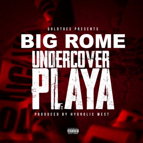 Undercover Playa | Boomplay Music