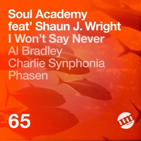 I Won't Say Never (Original Mix) ft. Shaun J. Wright | Boomplay Music