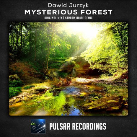 Mysterious Forest (Stream Noize Remix) | Boomplay Music