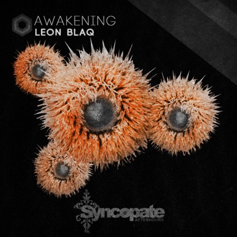 Awakening (Original Mix)