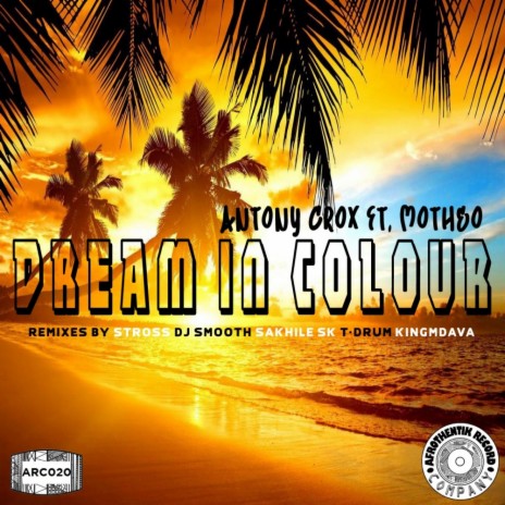 Dream In Colour (T-Drum Experimental Vocal Mix) ft. Motheo | Boomplay Music