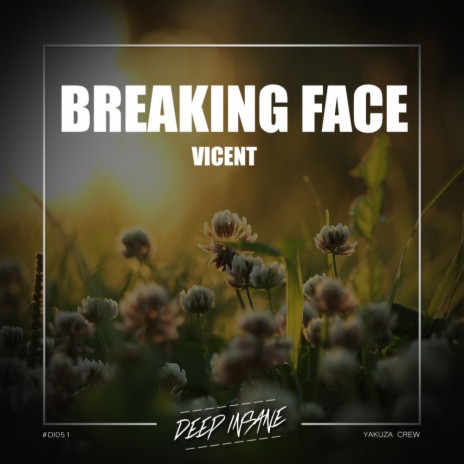 Breaking Face (Original Mix) | Boomplay Music