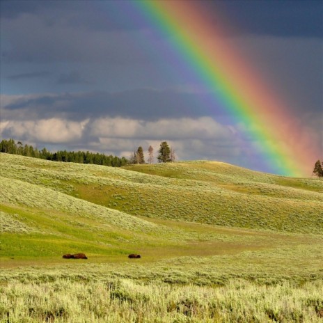 End of a Rainbow | Boomplay Music