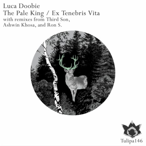 Ex Tenebris Vita (Original Mix)