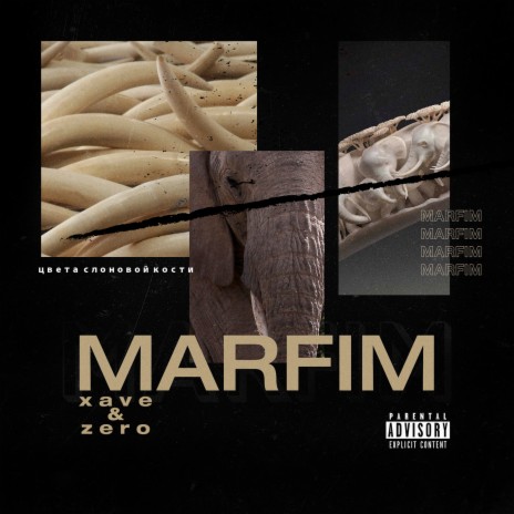 Marfim ft. ZerO | Boomplay Music