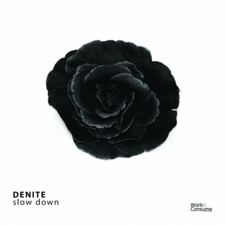 Slow Down (Original Mix) | Boomplay Music