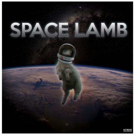 Space Lamb (Original Mix) ft. The Magget | Boomplay Music