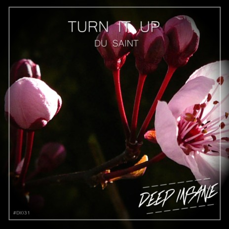 Turn It Up (Original Mix) | Boomplay Music