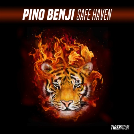 Safe Haven (Original Mix) | Boomplay Music