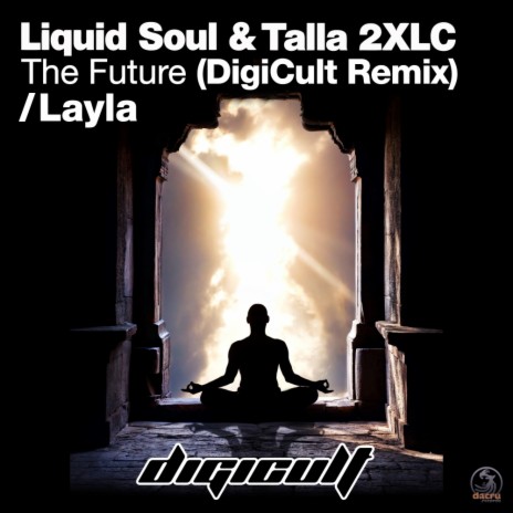 The Future (DigiCult Remix) ft. Talla 2XLC | Boomplay Music