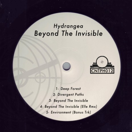 Beyond The Invisible (Elle Remix) | Boomplay Music