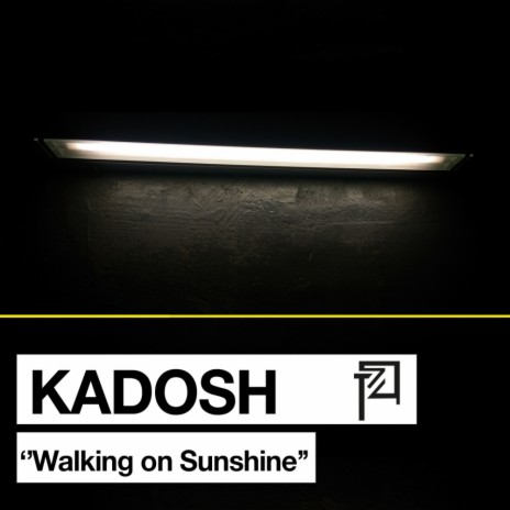 Walking On Sunshine (Original Mix)