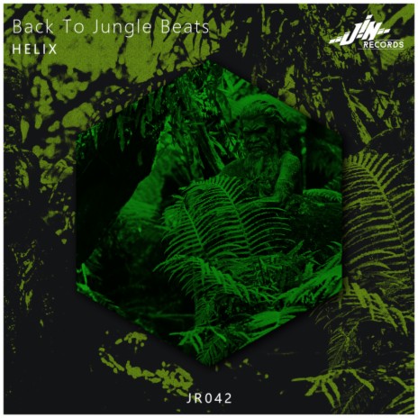 Back to Jungle Beats (Original Mix)