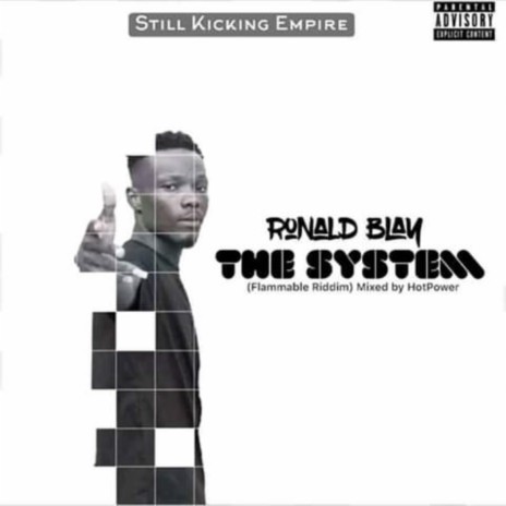 The System (Flammable Riddim) | Boomplay Music