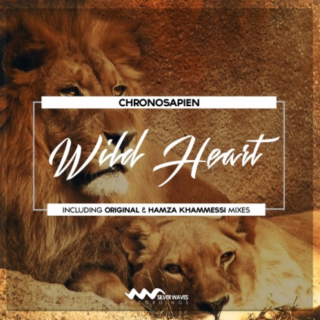 Wild Heart (Hamza Khammessi Remix) | Boomplay Music