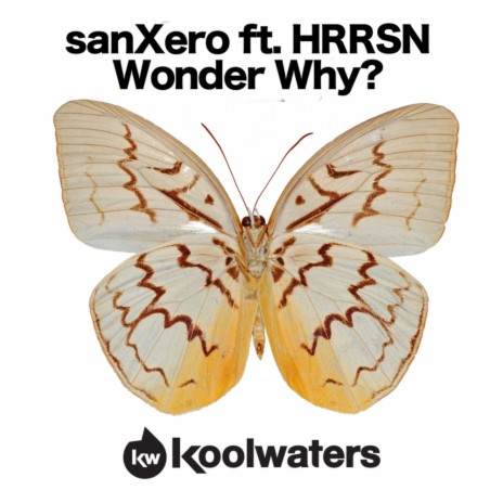 Wonder Why? (Marc Vedo Remix) ft. HRRSN | Boomplay Music