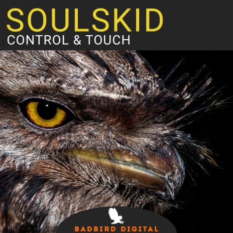 Control & Touch | Boomplay Music