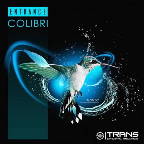 Colibri (Original Mix) | Boomplay Music