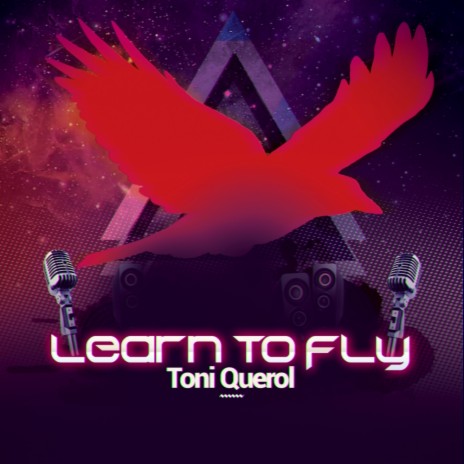 Learn To Fly (Original Mix)