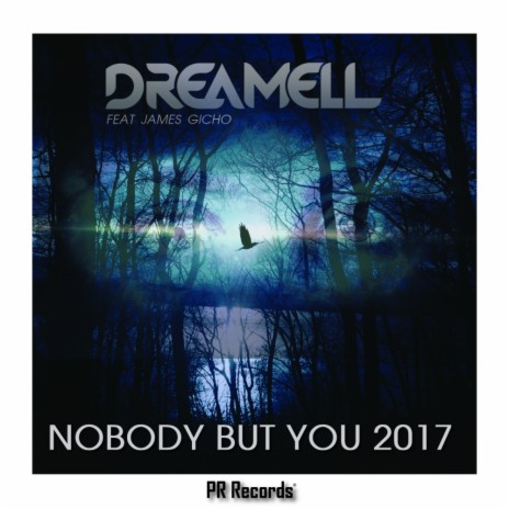 Nobody But You 2017 (Patrik Remann Remix) ft. James Gicho