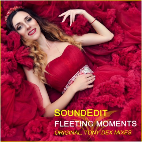 Fleeting Moments (Tony Dex Remix) | Boomplay Music
