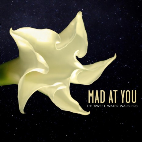 Mad at You (feat. Rachael Davis, May Erlewine & Lindsay Lou) | Boomplay Music