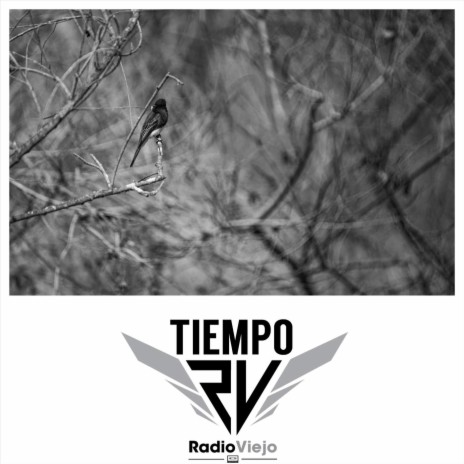 Tiempo | Boomplay Music