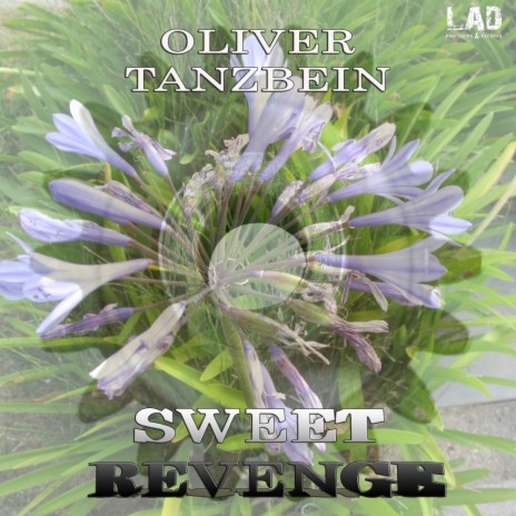 Sweet Revenge (Original Mix)