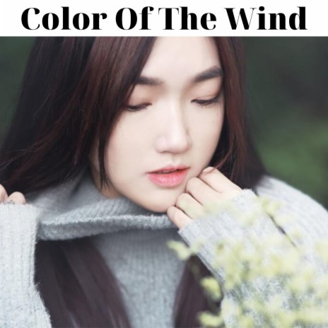 Color Of The Wind | Boomplay Music